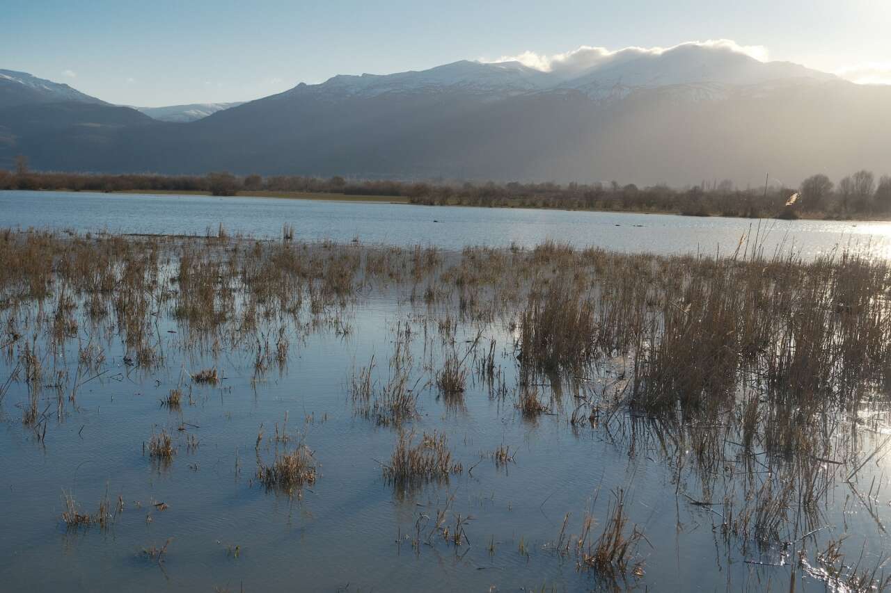 Konya’da kuraklığın vurduğu gölde yıllar sonra bir ilk yaşandı 2